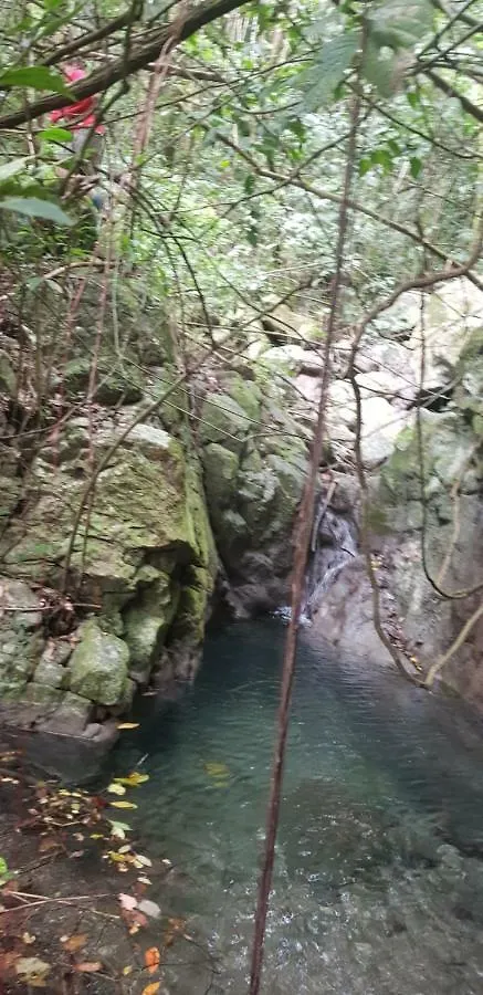 Silver Hill Select Spa Spring 0*,  Jamaika
