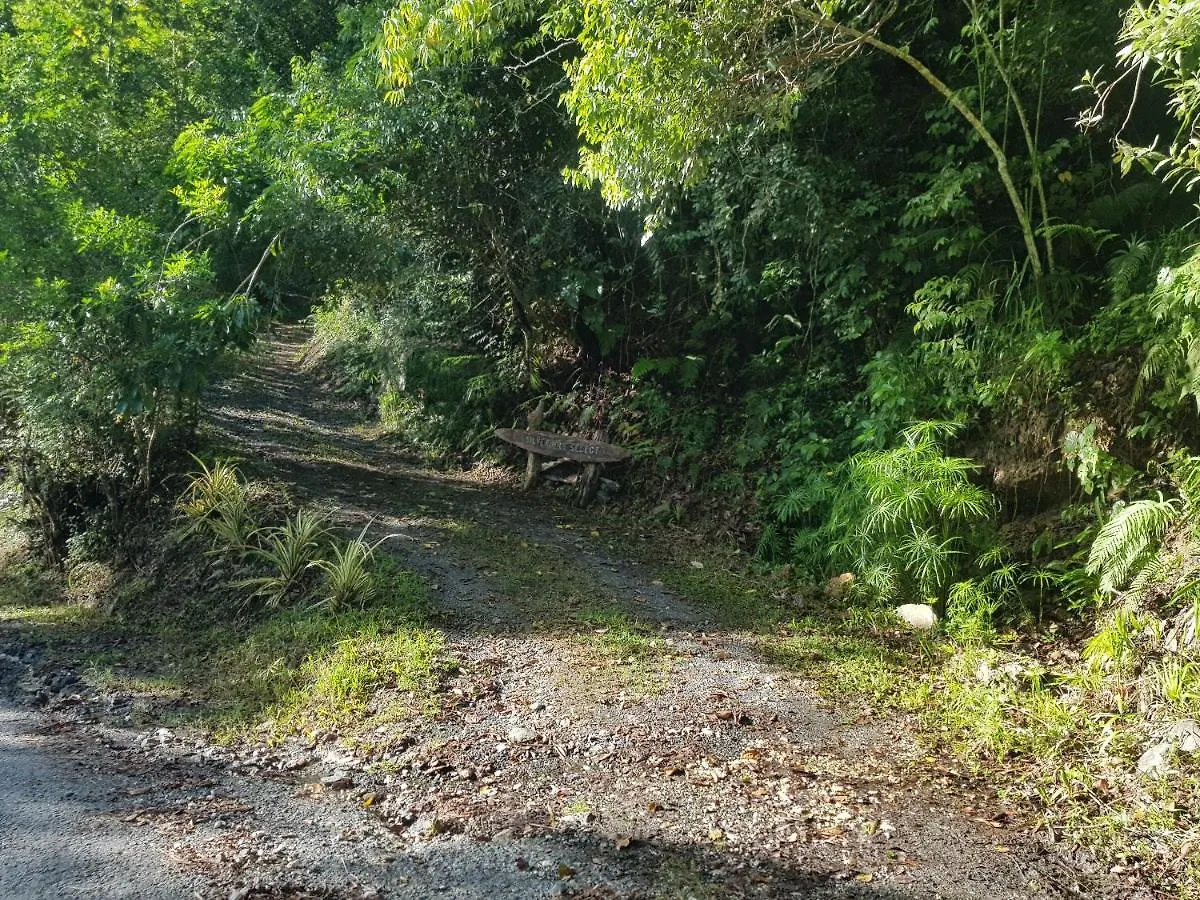 Silver Hill Select Spa Spring Jamaica