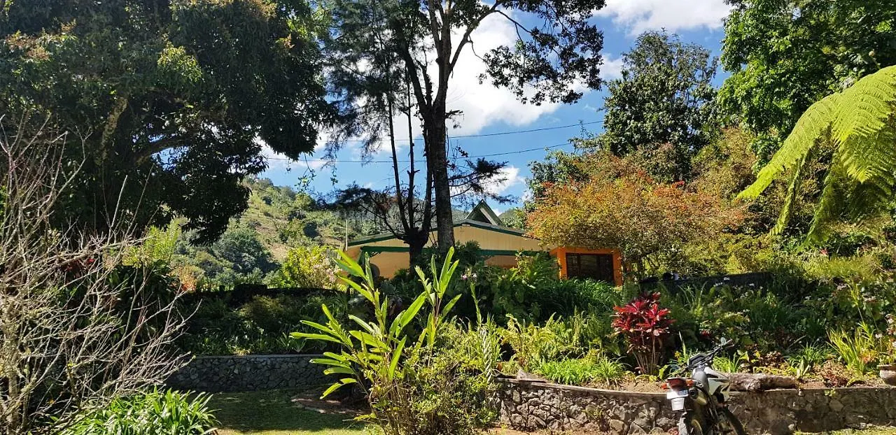 Silver Hill Select Spa Spring Jamaica